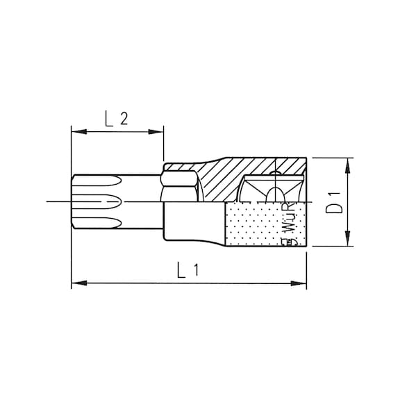 LOKMA 1/4I-İÇ DELİKLİ TORKS-KROM-TX27