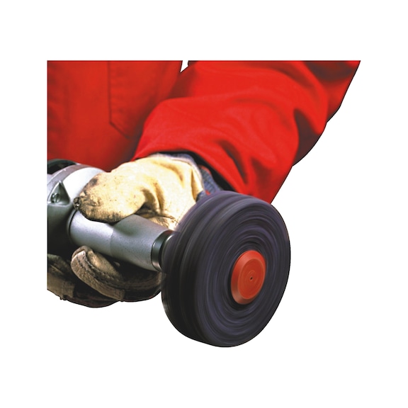 KEÇE DİSK ZIMPARA-MOR-D100*13
