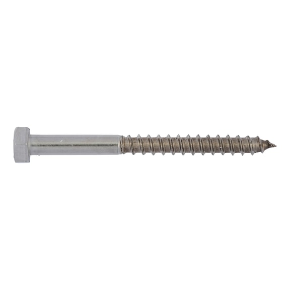 AKB.AHŞAP VİDASI-DIN 571(A4)SW17 10X100